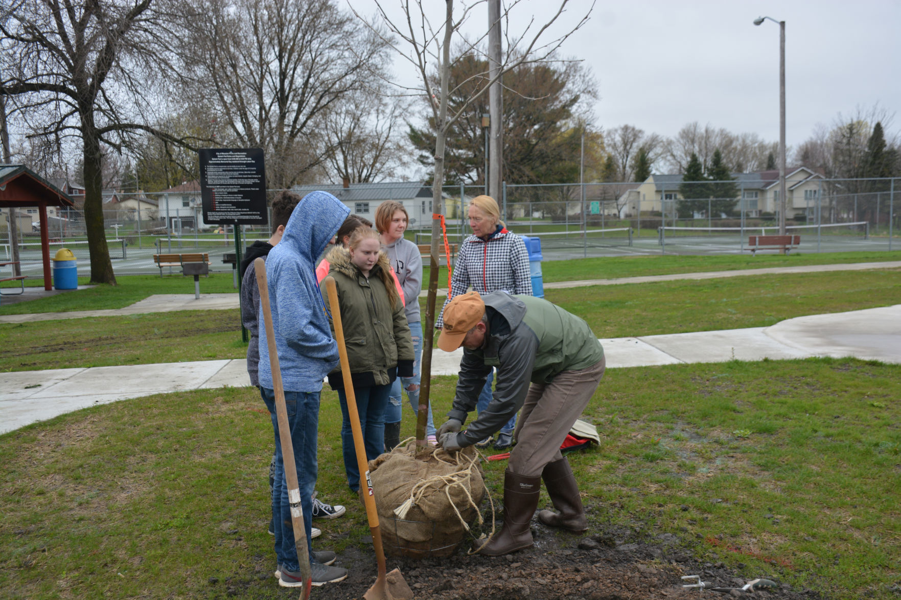Arbor Day 6
